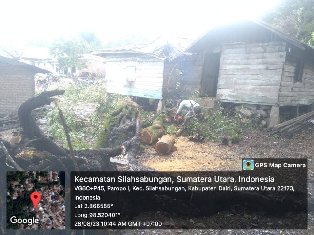 Pohon Tumbang di Desa Paropo I Kecamatan Silahisabungan Kabupaten  Dairi, Senin (28 Agustus 2023) . Dokumentasi BPBD Kabupaten Dairi